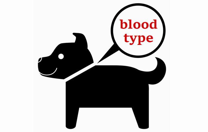 犬も血液型があるの 国産 無添加ドッグフードperori